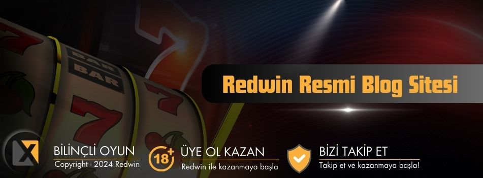 Redwin Giriş